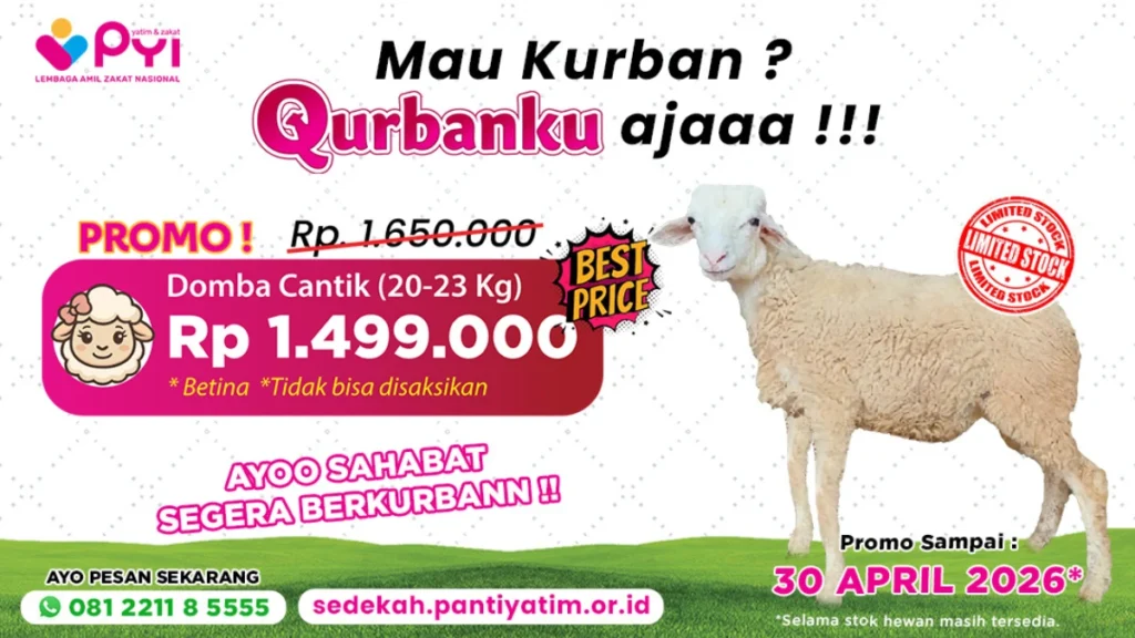 Daftar harga hewan kurban 2026 promo Laznas PYI Yatim dan Zakat