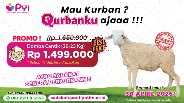 Daftar harga hewan kurban 2026 promo Laznas PYI Yatim dan Zakat
